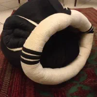 وسایل پت خانگی