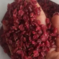 زرشک|خوردنی و آشامیدنی|مشهد, هفت تیر (حافظ)|دیوار