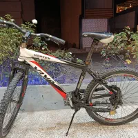 دوچرخه ویوا ورتکس