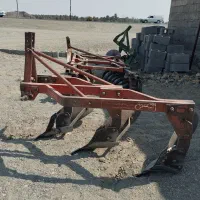 شخم رومانی درجه یک خارجی