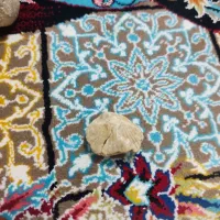 فسیل|کلکسیون اشیاء عتیقه|شیراز, شهرک امام حسین|دیوار
