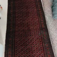 فرش۳متری|فرش|گرگان, |دیوار