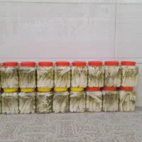 ترشی بیلهر