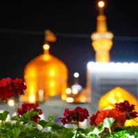 تور ریلی مشهد مقدس قطار ۴ تخته|تور و چارتر|تهران, افسریه|دیوار