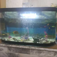 فروش آکواریوم سه بعدی شیشه خم