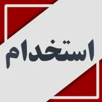 نیرو کار در کارگاه رنگ کاری چوب