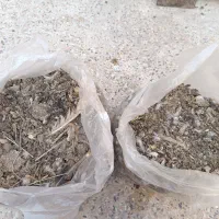 فضله و زل کبوتر و کود مرغی