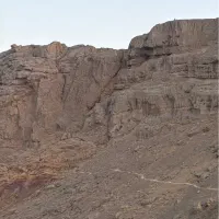 زمین-باغ-دامداری-استبل