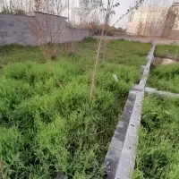 فروش-چند-قطعه-زمین-مسکونی