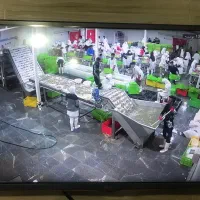 سردخانه ماهی و میگو|فروش دفتر صنعتی، کشاورزی، تجاری|میناب, |دیوار