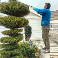 کارهای باغبانی گلکاری هرسکاری سمپاشی صفر تا صد