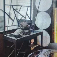 کباب پز حرفه ای