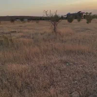 اینگیجه4500متر-دهنه-57-سند-ثبتی-زمین-خانه-باغ