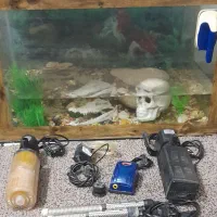 آکواریوم ماهی. پمپ هوا. بخاری. تصفیه آب