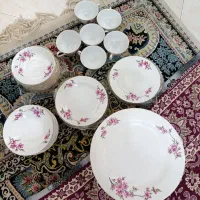 سرویس ارکوپال۵۲پارچه گل سرخ قدیمی