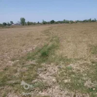 زمین-در-باغستان-فریزهند