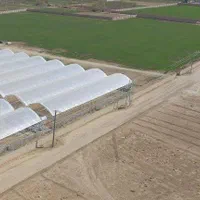 انواع پلاستیک گل خانه|خدمات باغبانی و درختکاری|شهرضا, |دیوار