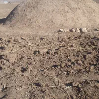 کاه فروشی در کوهنانی