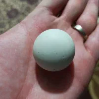 سنگ الماس آسیاب اصل