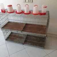 2 عدد قفس بزرگ پرنده