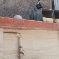 گمشده ها