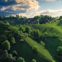 زمین برای شراکت