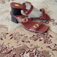 دمپایی مجلسی