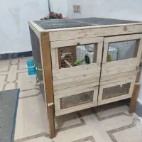 یک جفت عروس هلندی همراه باقفس چوبی