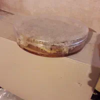 عسل شان روی چوب