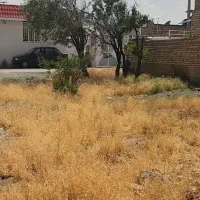 زمین فروشی خیام روستای حقیه