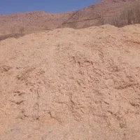 خوراک دام و طیور