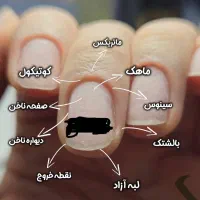 آموزش صفرتااستادی کاشت ناخن ومژه+مدرک فنی حرفه ای|خدمات آرایشگری و زیبایی|اصفهان, خانه اصفهان|دیوار