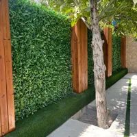 فنس چمنی و فنس برگی|خدمات باغبانی و درختکاری|کرج, گلدشت|دیوار