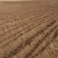 اجاره-زمین-کشاورزی