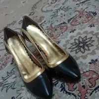 کفش مجلسی|کیف، کفش، کمربند|زنجان, |دیوار