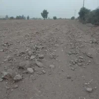 زمین کشاورزی اجاره ای