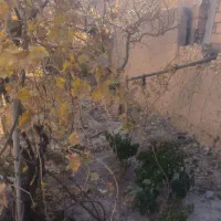 رهن یک منزل مسکونی|اجارهٔ خانه و ویلا|قوچان, |دیوار