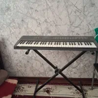 پیانو(ارگ)|پیانو، کیبورد، آکاردئون|گلبهار, شهر جدید گلبهار|دیوار