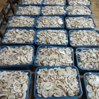 قارچ فله و اسلایس