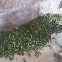 خوردنی واشامیدنی