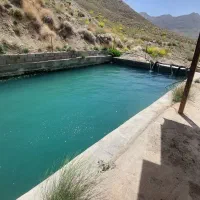 مزرعه به قیمت باغ