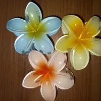 فروش اکسسوری های مو با کمترین قیمت