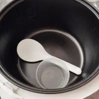 پلوپز بخار پز