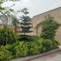 اجاره تالار (کل فضا یا سالنهای مجزا) در بابل