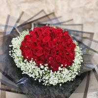 دسته گل رز هلندی بهترین قیمت در مشهد کیفیت عالی|گل و گیاه طبیعی|مشهد, امامیه (شهرک غرب)|دیوار