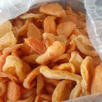 خوشک بار|خوردنی و آشامیدنی|صوفیان, |دیوار