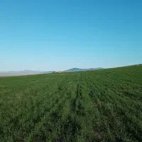 فروش زمین مناسب طرح های صنعتی، کشاورزی، گلخانه|فروش دفتر صنعتی، کشاورزی، تجاری|ارومیه, |دیوار