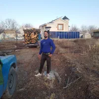 خرید چوب قلمه و گردو و سیب و انواع اقسام چوب خشک