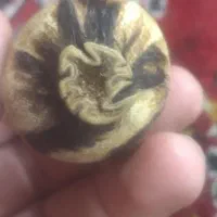 یک عدد مشک اصلی