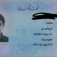 مدارکم گم شده (مژدگانی)